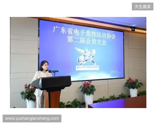 广东省电子竞技运动协会第二次会员大会暨换届大会在穗圆满举行